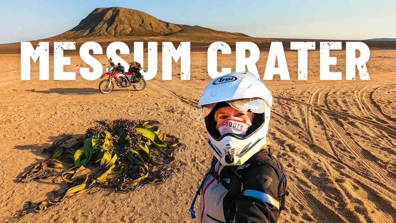 Здесь может расти только одно растение. ЭКСТРЕМАЛЬНАЯ НАМИБИЯ! 🌋 [S5 - Эпс. 53]