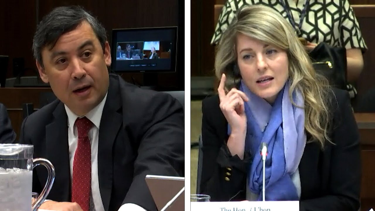 Michael Chong has fiery exchange with Melanie Joly | 