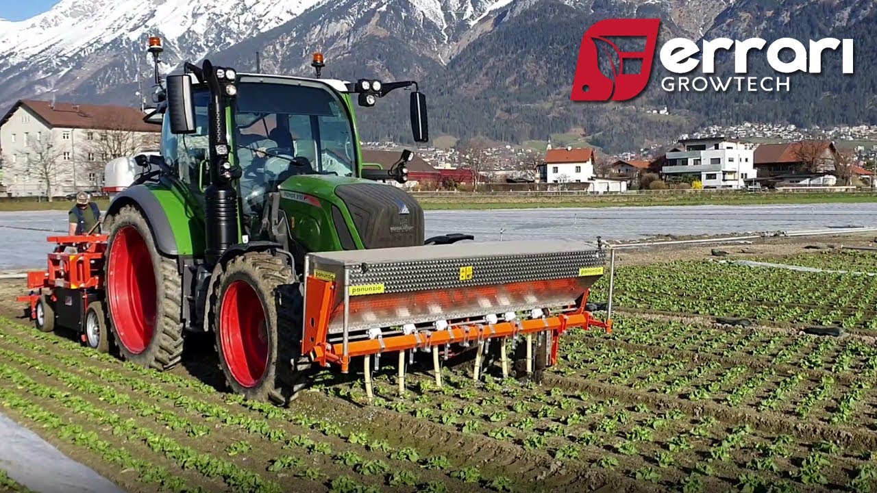 Ferrari Remoweed Weeder &ndash; Help Your Lettuce Grow