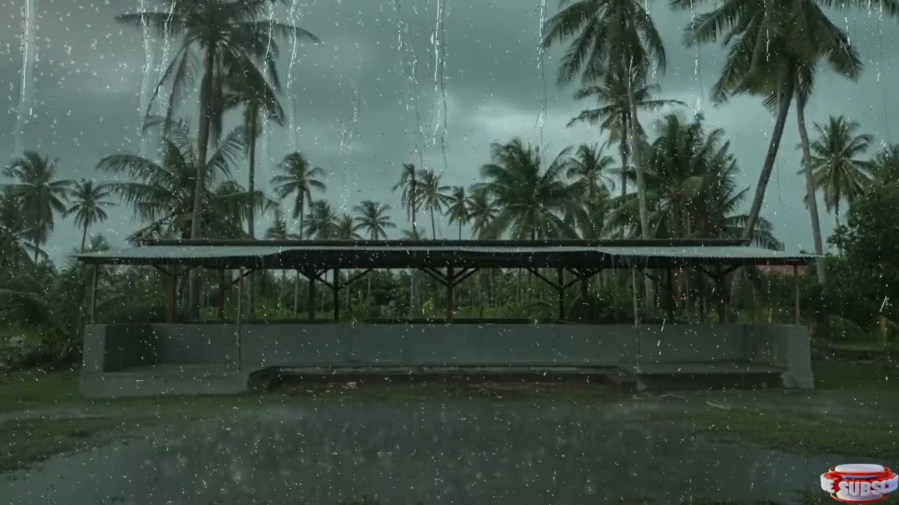 Monsoon Sounds For SLEEPING ⛈Rain Heavy Loud 99% Makes You Sleepy The Sound Of Rain Falling#rainfall
