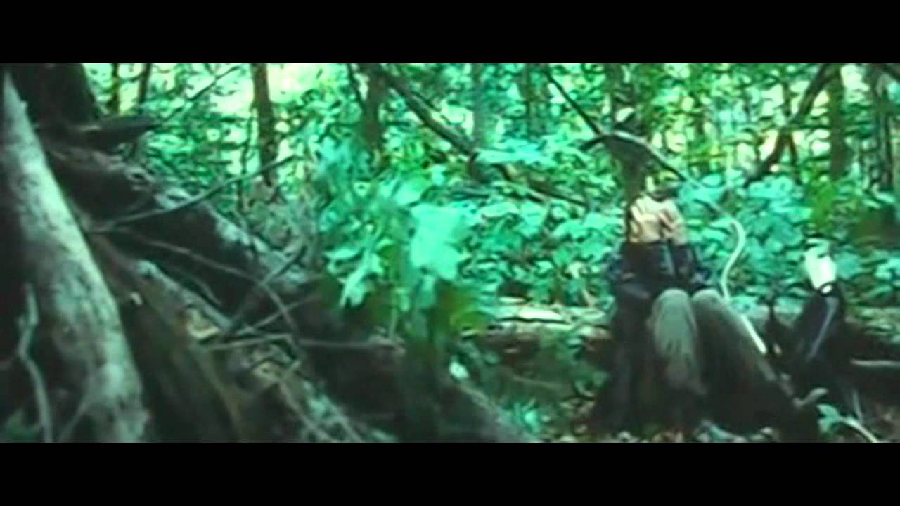 The Hunger Games - Run For Your Life