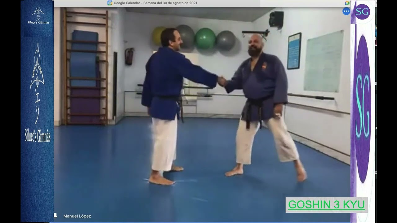 OYO BUNKAI HEIAN SANDAN (BUNKAI KATA)