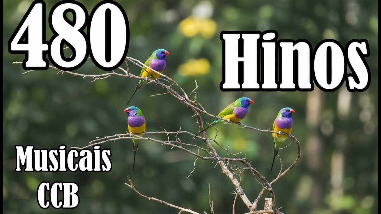480 Hinos Cantados CCB - 28/01/2026 - 260,375,160,275,480,190,201,219,211,205,210,300,411...