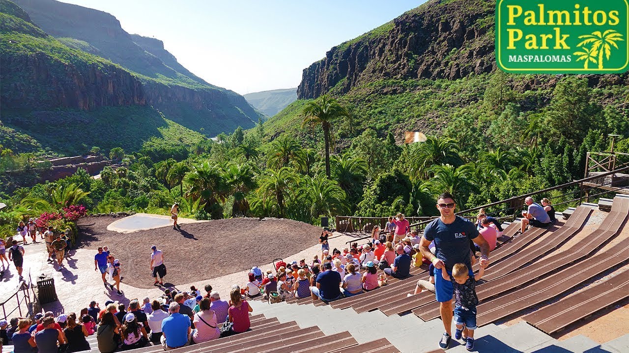 PALMITOS PARK 4K GRAN CANARIA 2019 MASPALOMAS