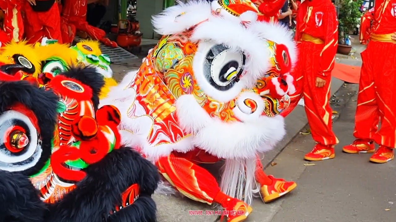 Đoàn LSR Tinh Anh Đường Trước Giờ Khai Quang Điểm Nhãn Lân Sư Rồng 2025 / KN Lion Dance Barongsai