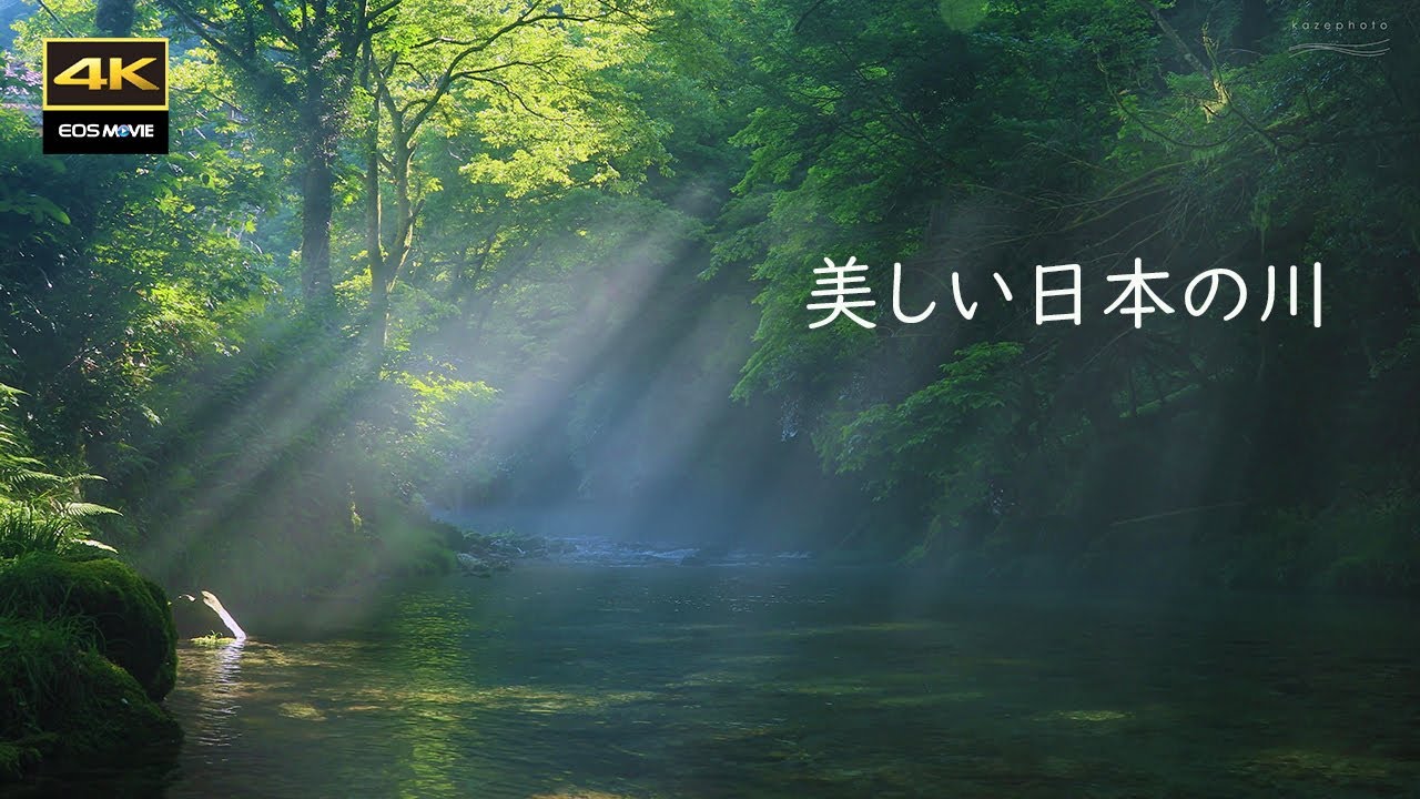 4K  美しい川霧と光芒　円原川　/  4K Beautiful river fog and rays of light