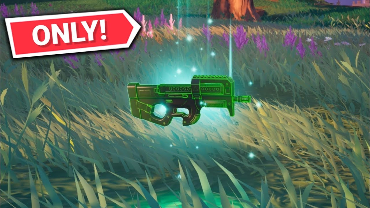 I won using the Exotic Heisted Run 'N' Gun SMG ONLY!