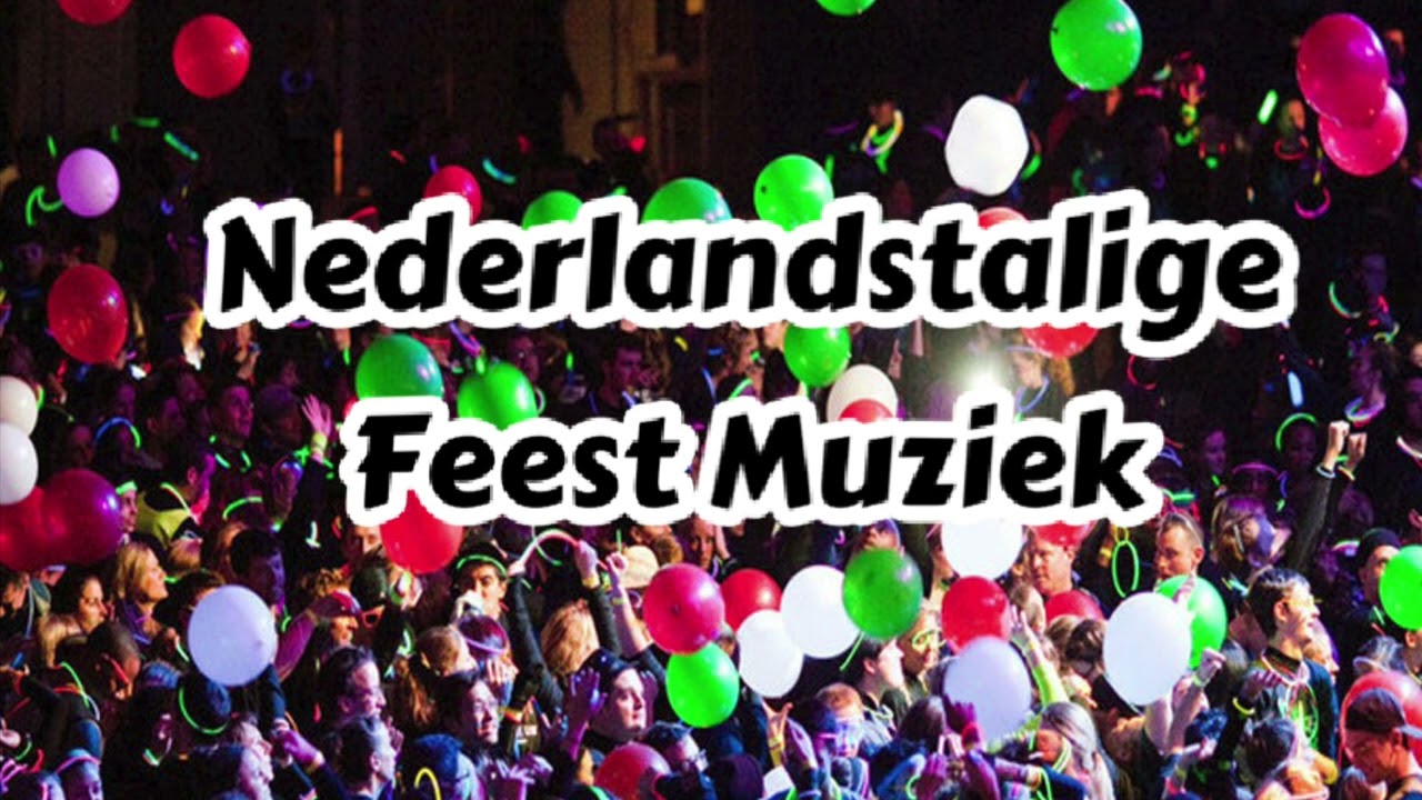 Nederlandstaligen Feest Muziek /FeestDjTon mix