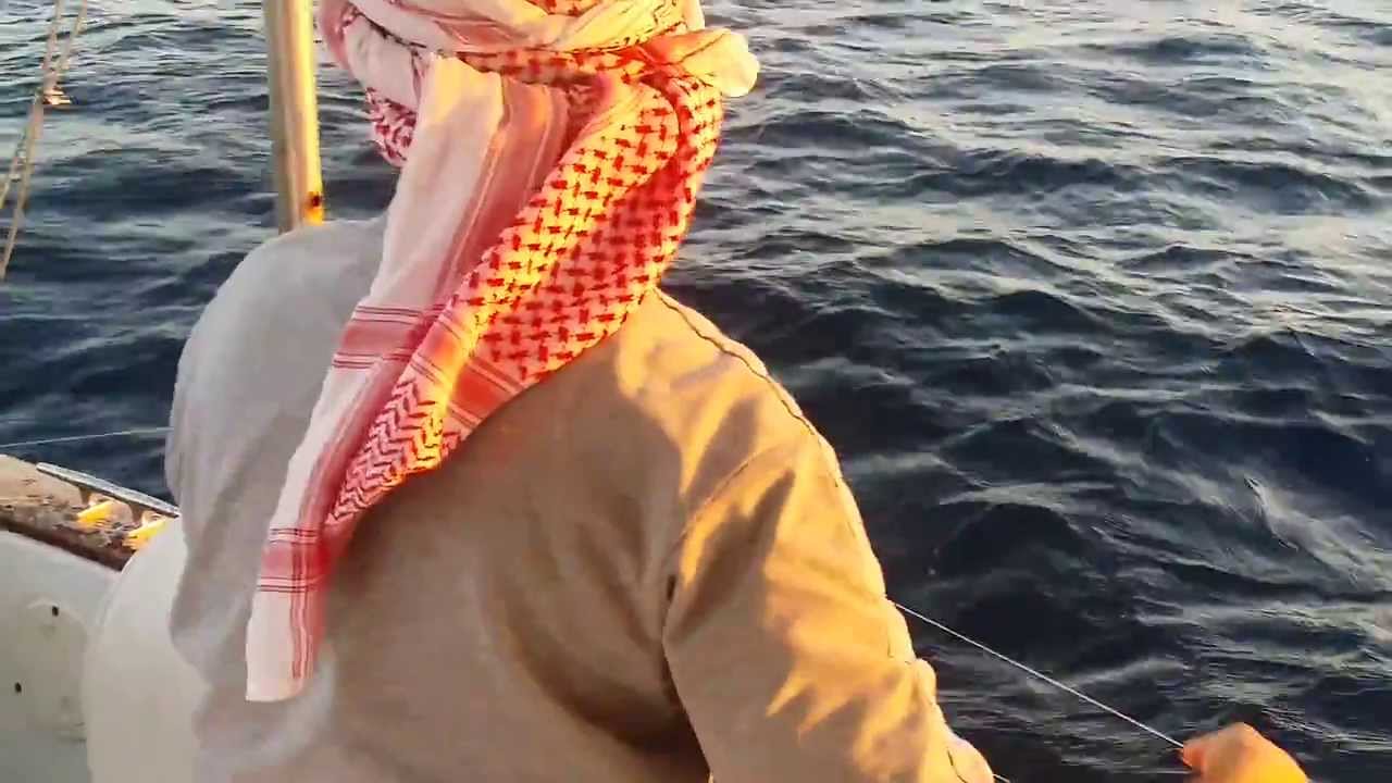 صيد ابو شراع في جدة
