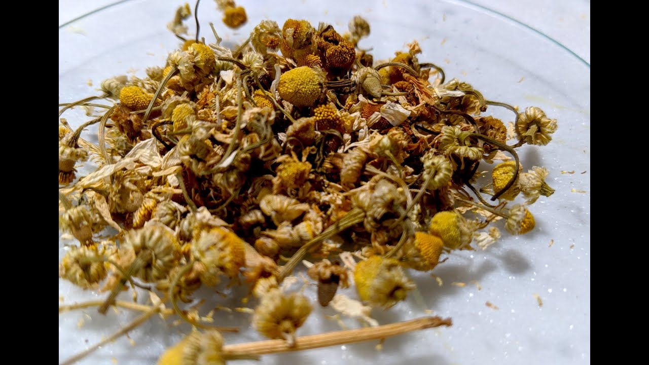 Chamomile Lake | How to Turn Flowers Into Paint