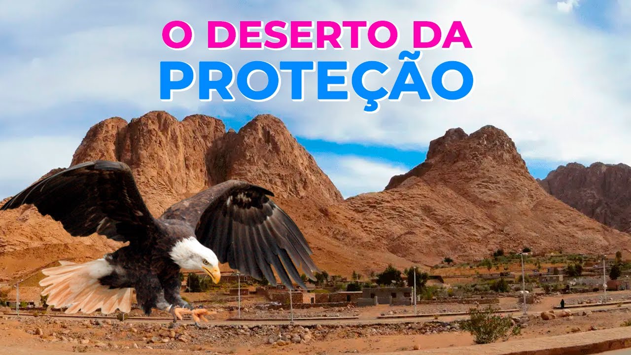 Deus protegerá a IGREJA e as NAÇÕES  da marca da besta em UM SÓ DESERTO, ou em vários desertos ??