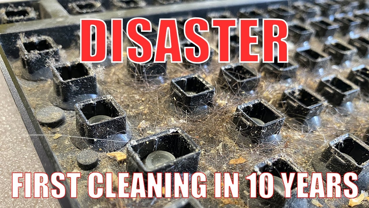 Deep Cleaning a DIRTY Keyboard for the first time in 10 YEARS! | Satisfying detailed cleaning!
