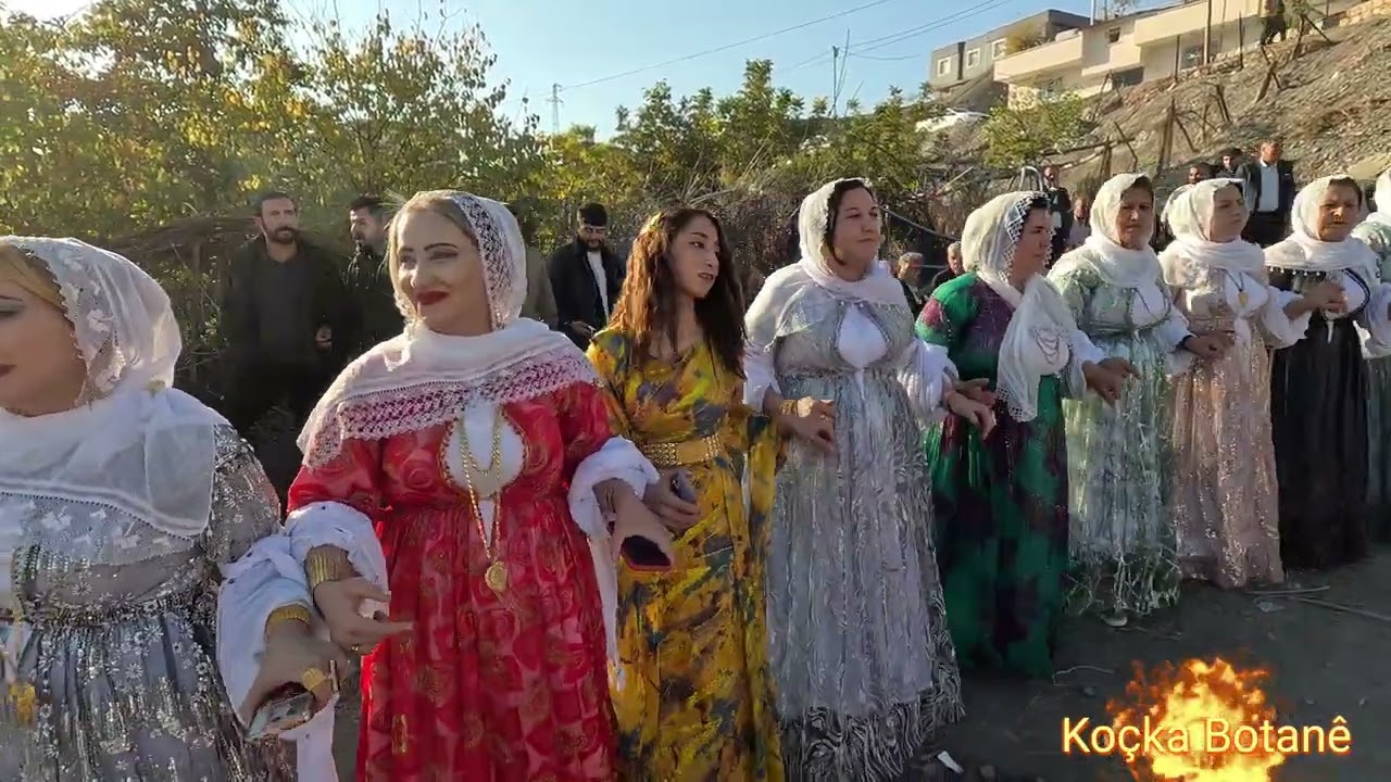 Daweta Sînan Gerden. Avgamasya Şirnex (3)