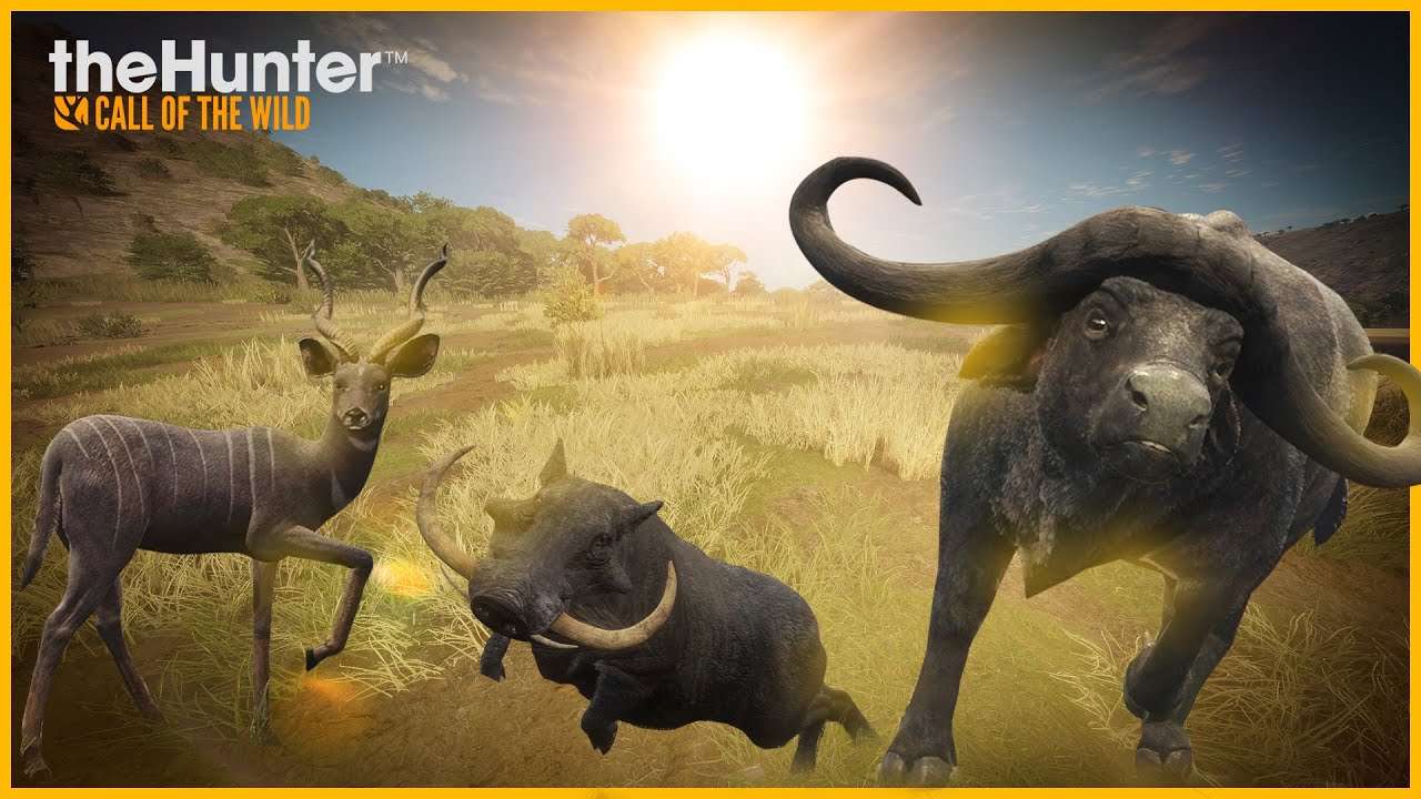 DEPOIS DE ASSISTIR ESSE VIDEO VOCÊ VAI CAÇAR MUITOS ANIMAIS - THE HUNTER CALL OF THE WILD GAMEPLAY