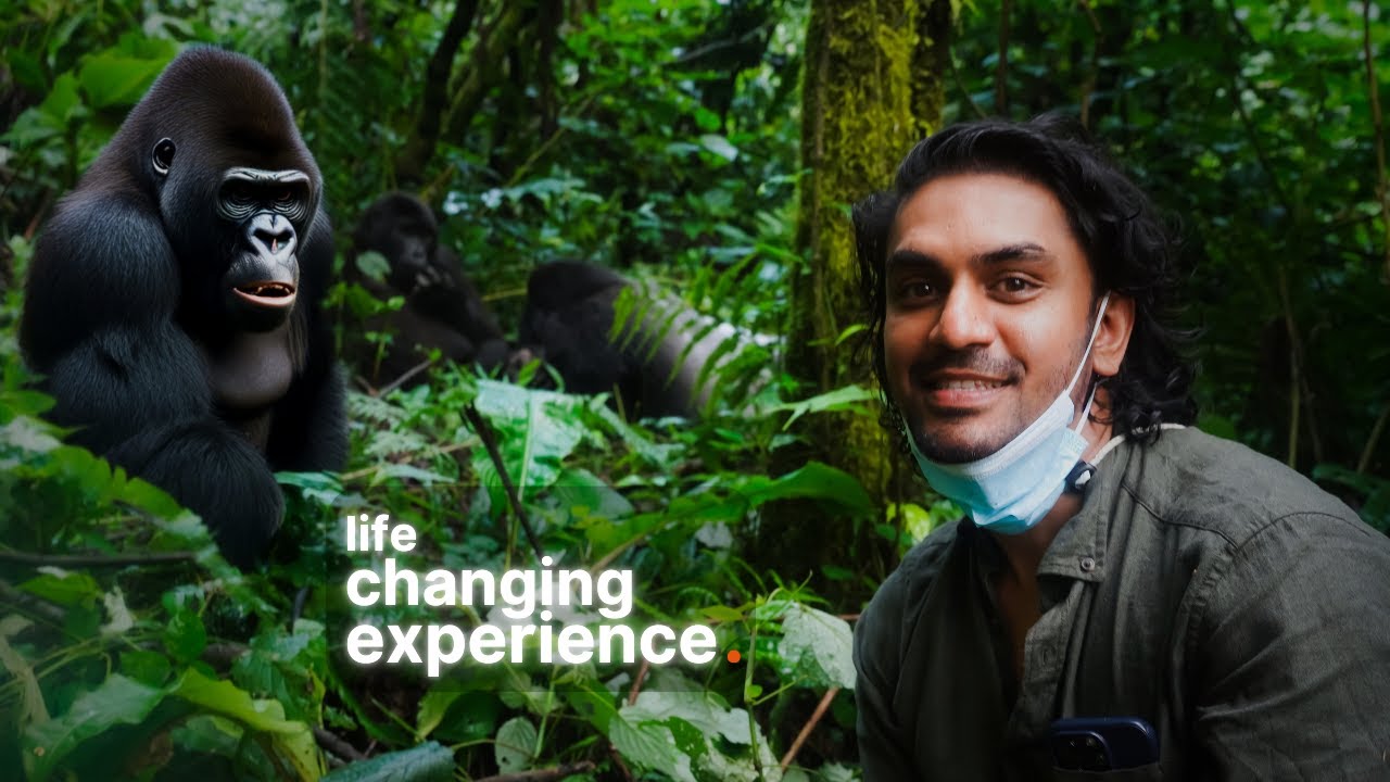 What Mountain Gorillas in Uganda Taught Me About Money and Happiness?