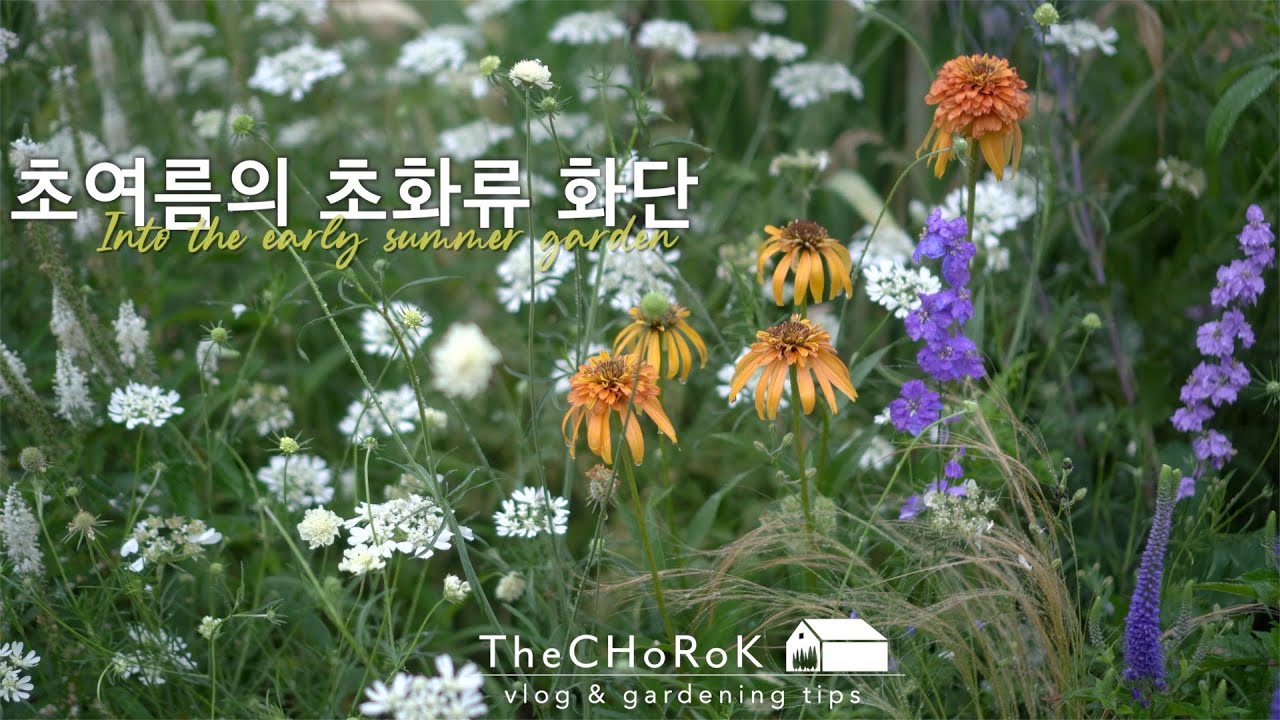 6월초화류화단모습 | 다년생초화류 | 정원풍경 | 세종시주택정원 | 초록가든