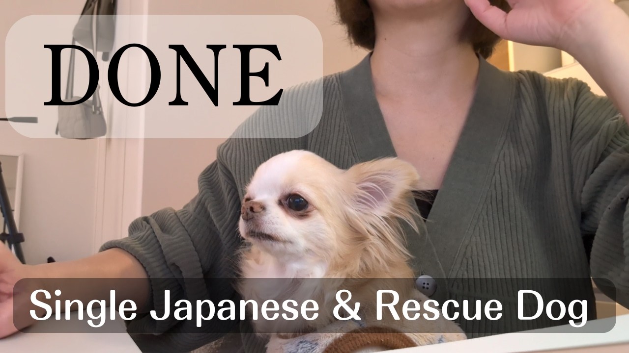 The Prologue to My Family Farewell| Life in Japan, Alone with my Dog