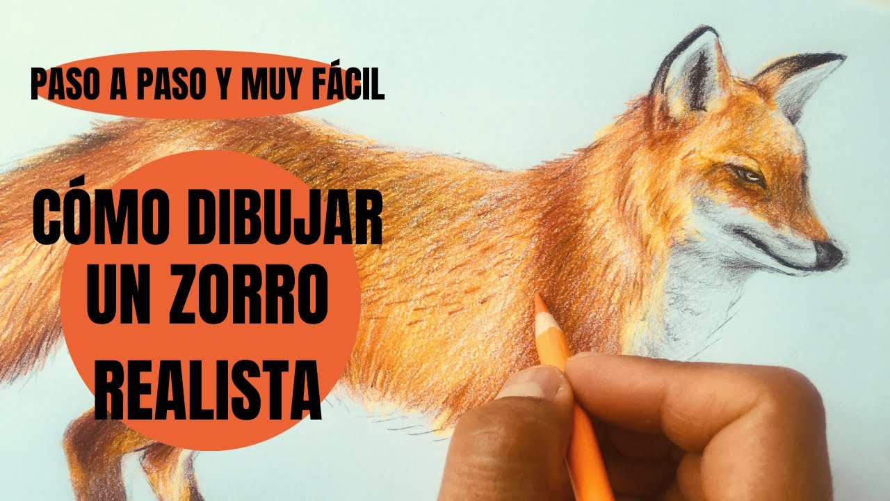 Te digo Cómo se Dibuja Un Zorro Paso a Paso ¡Muy fácil!