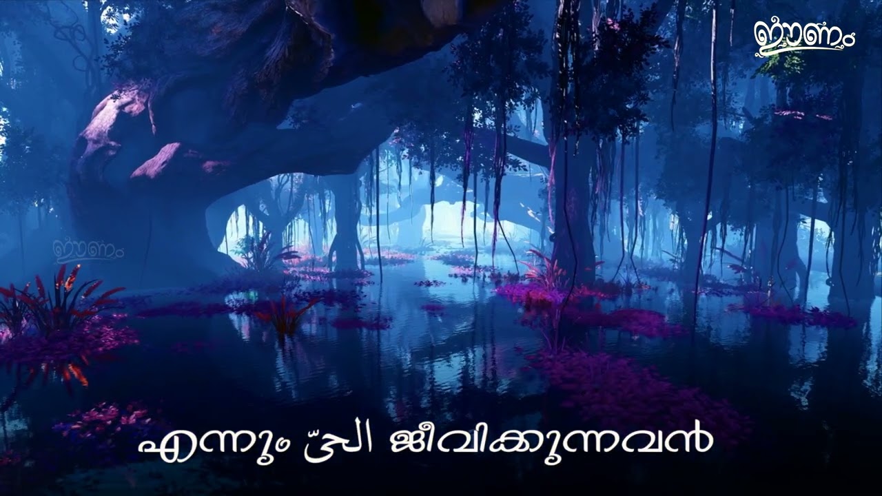 കുട്ടികൾക്ക് അല്ലാഹുവിന്റെ നാമങ്ങൾ പഠിക്കാൻ ഇതാ ഒരു മനോഹര ഗാനം | Haris Bin Saleem