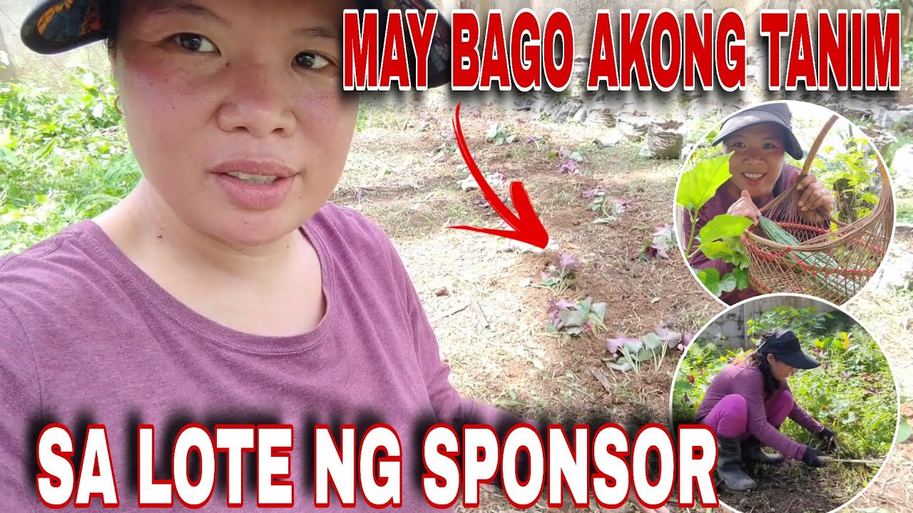 ⛔ MAY TANIM AKO NA BAGO SA LOTE NG SPONSOR 