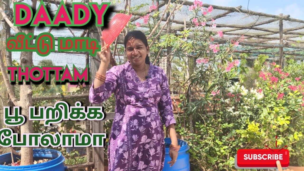 Daddy's Terrace garden 🌿| Flowers | Gardening | Nature | LOP