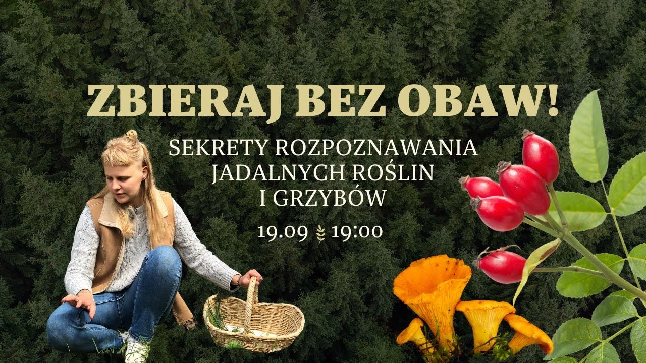 Zbieraj bez obaw! Sekrety rozpoznawani dzikich roślin i grzybów 🍁