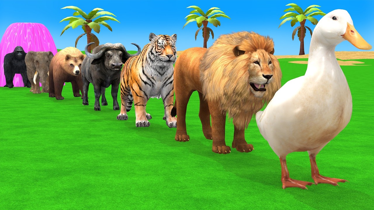 Long Slide Game with Cow Elephant Gorilla Hippopotamus Tiger 3d Animal Game Funny 3d Animals
