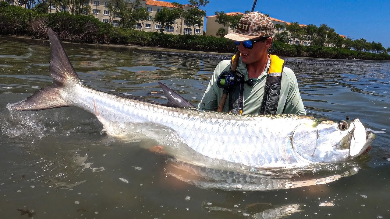 Sight Fishing Giant Tarpon! (Off a Kayak!)
