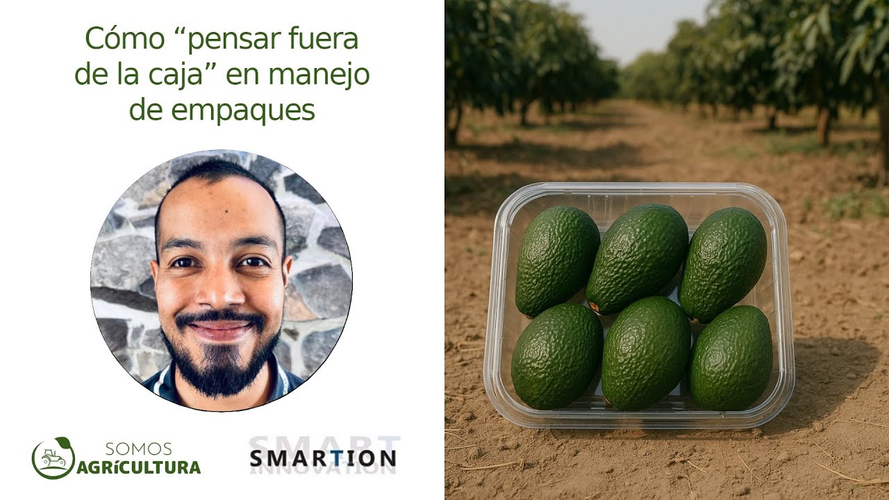 Cómo “pensar fuera de la caja” en manejo de empaques