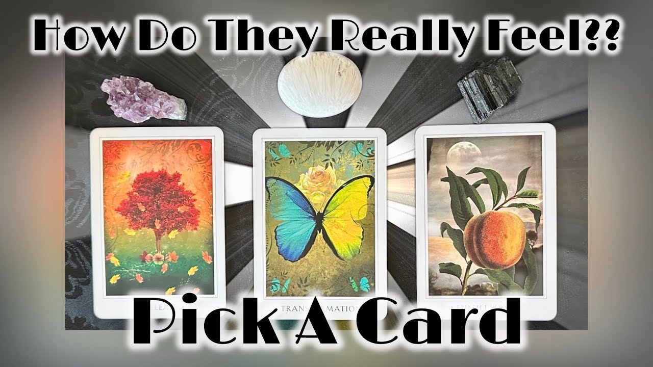 🥹How Do They Really FEEL About You Now?? (in-depth) ❤️🌳🦋🍑 *Pick A Card* Timeless Psychic Love Tarot 