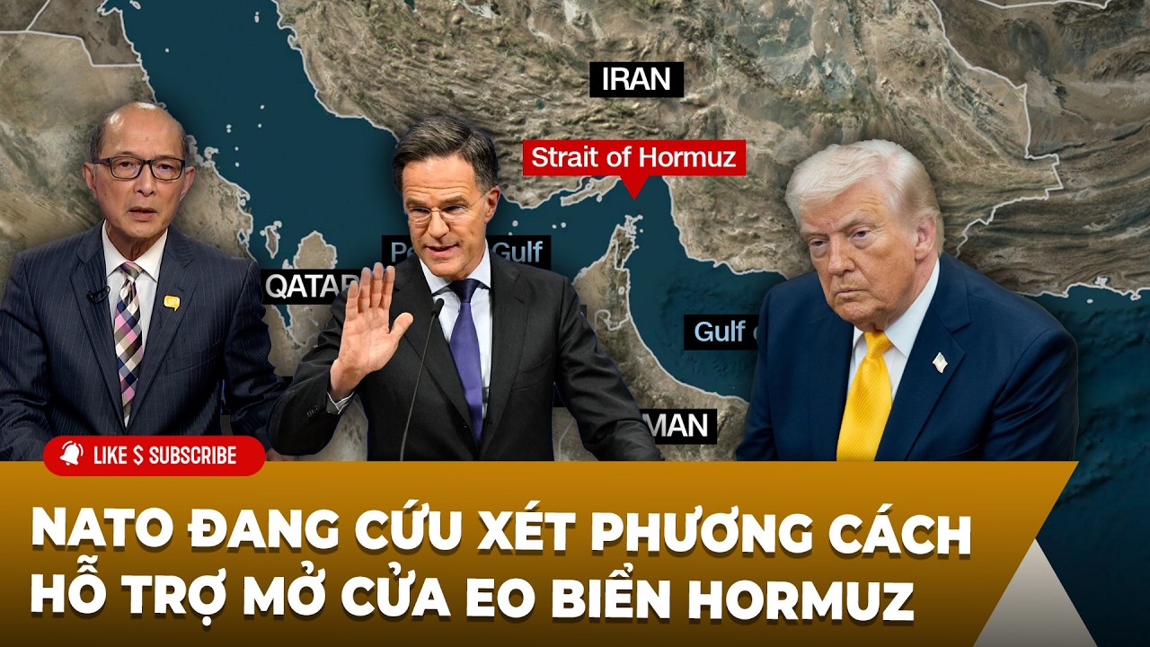 Tin Tổng Hợp LSTV P1 (03-19-2026) Nato đang cứu xét phương cách hỗ trợ mở cửa eo biển Hormuz
