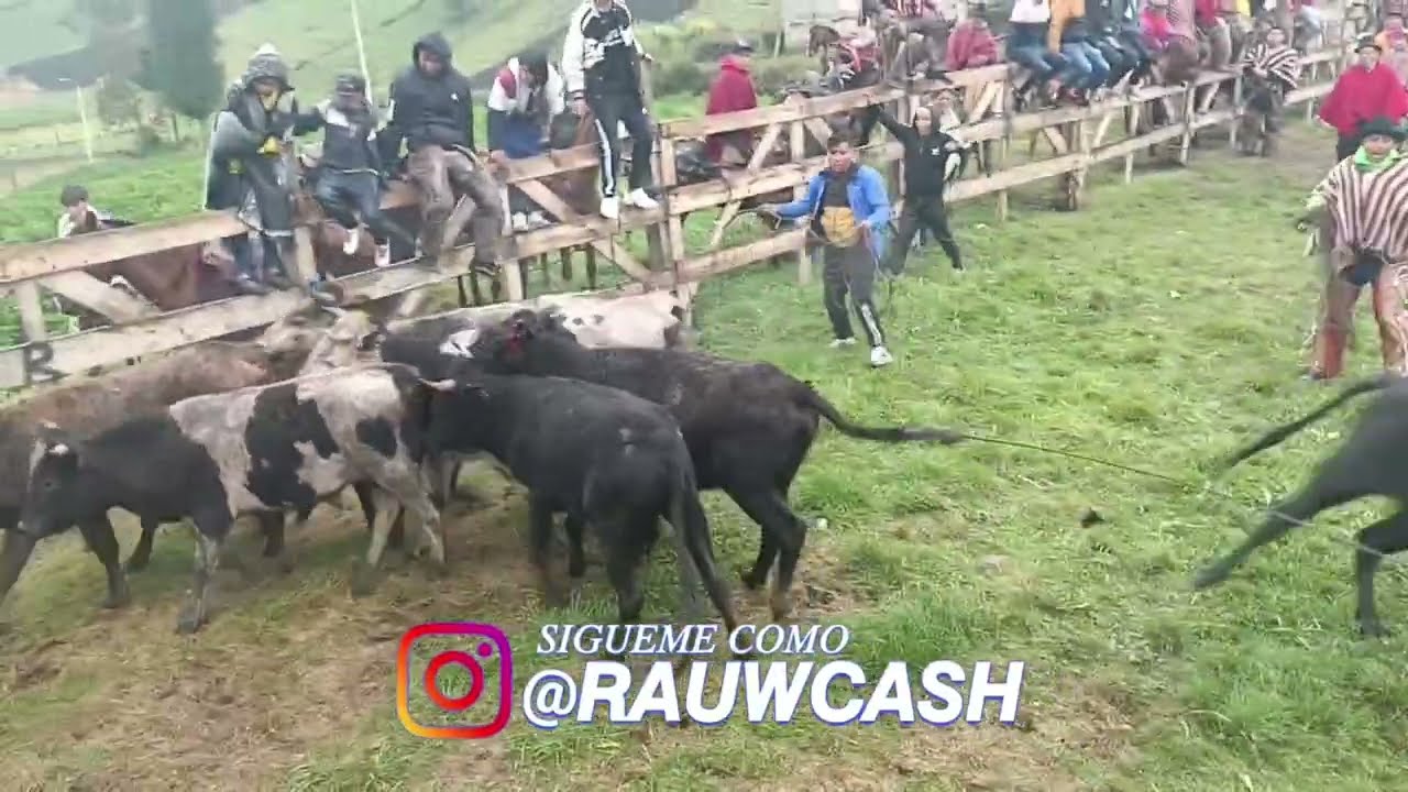 El GRAN RODEO  DE CHAGRA 🐎🐂 en los PARAMO de tilivi |Rauw cash|√
