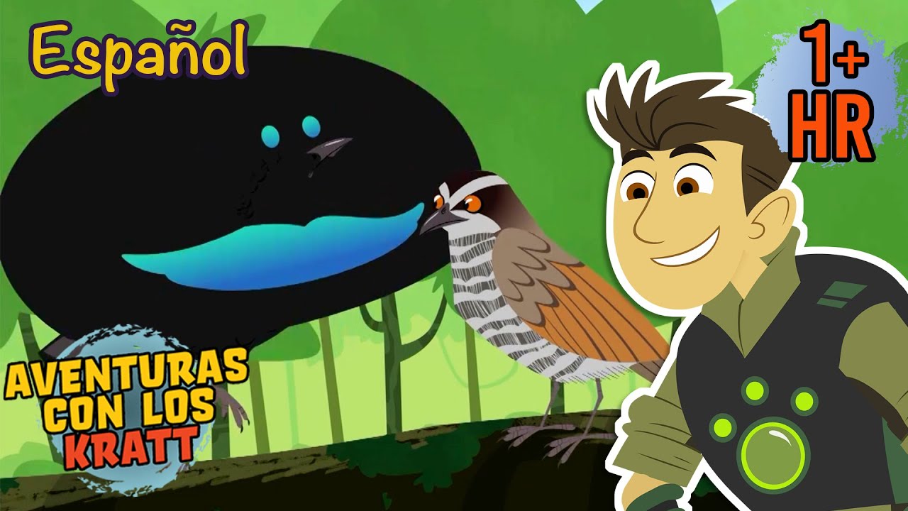 Aves asombrosas | Episodios completos | Aventuras con los Kratt