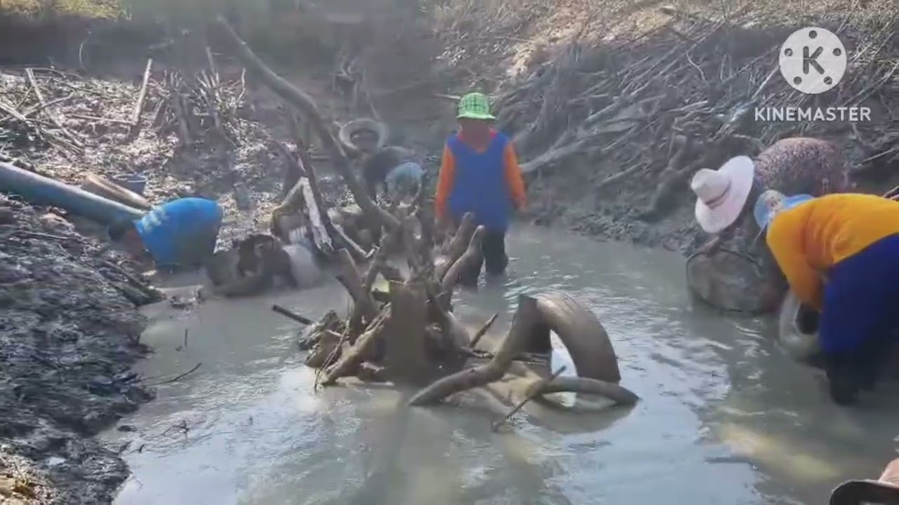 หากินถิ่นยโสธร
