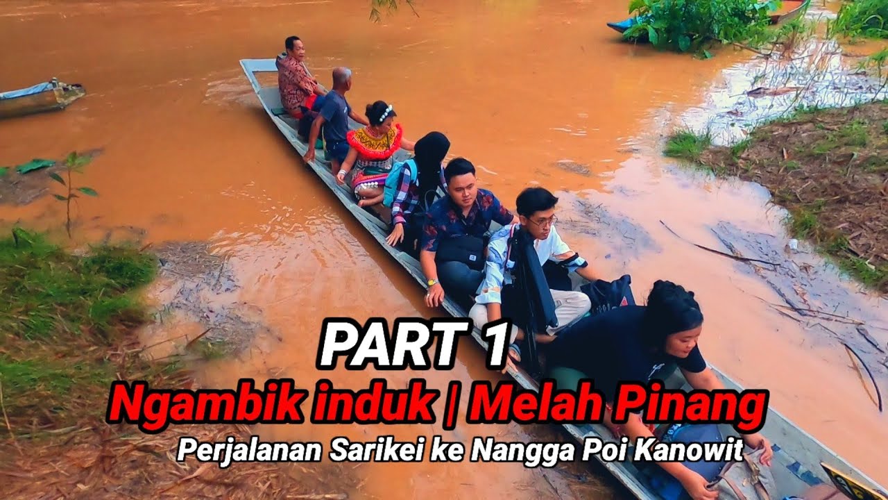 PART 1 | NGAMBIK INDUK | MELAH PINANG | KAWIN RUMAH PANJAI