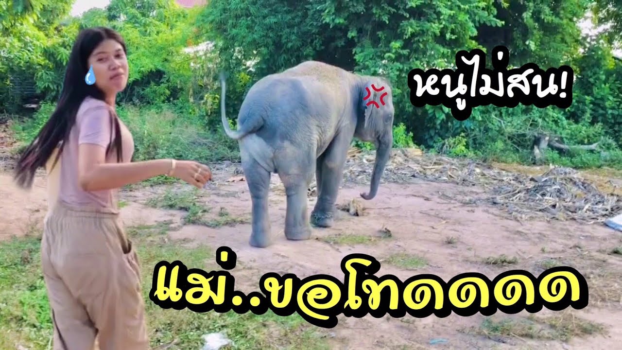 บ่อพลอย แม่ผิดไปแล้ว แม่ขอโทษ...😢😢