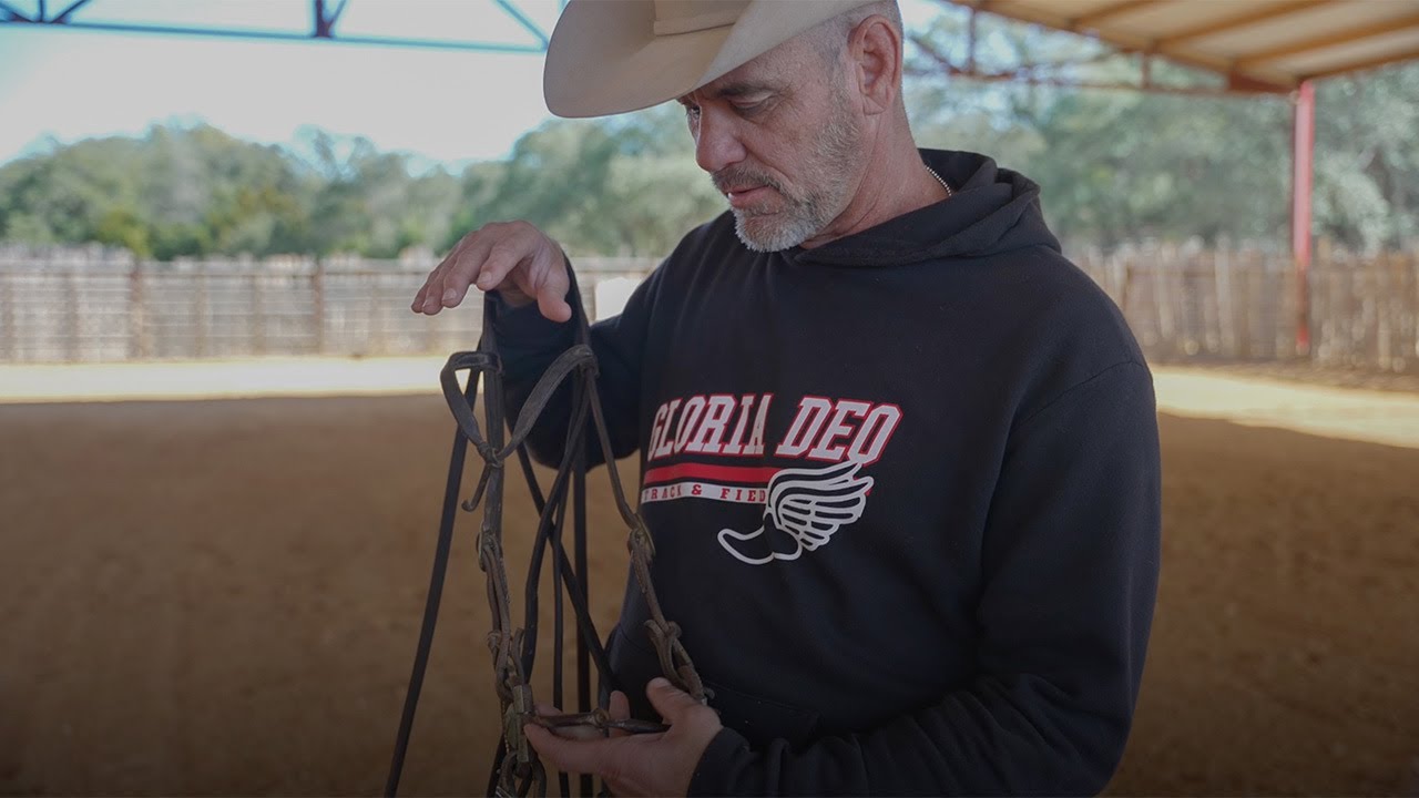 How to use a snaffle bit by a professional horse trainer