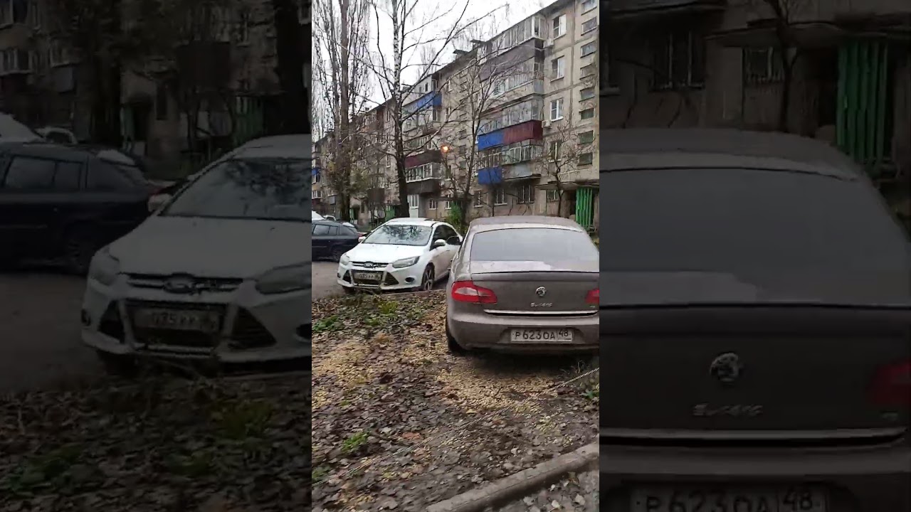 Рабы и работяги