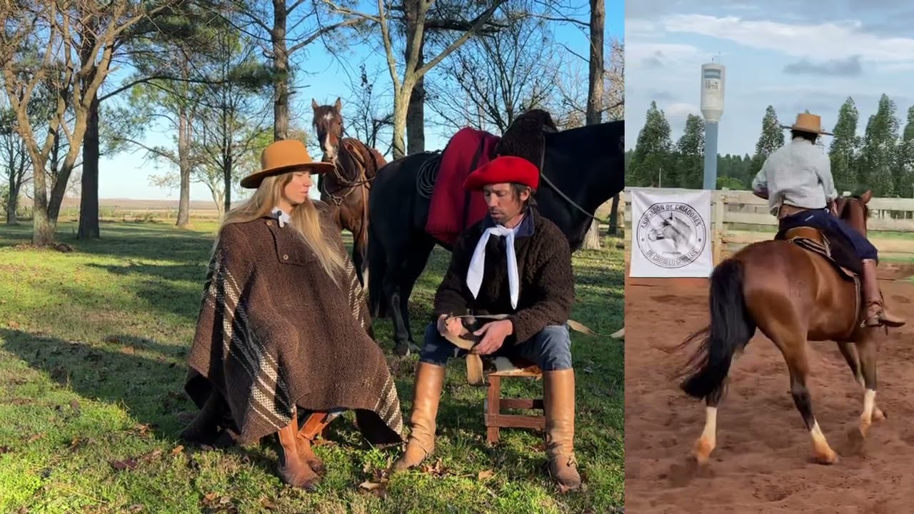 Cría, selección y doma del caballo