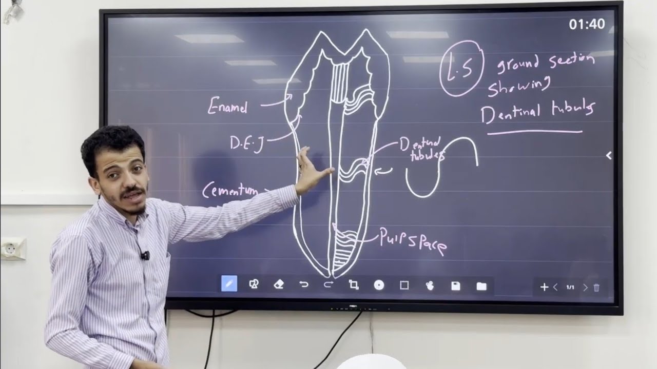 Dentinal tubules Drawing