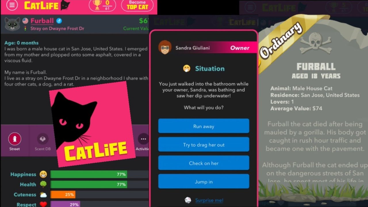 CatLife Game Gameplay