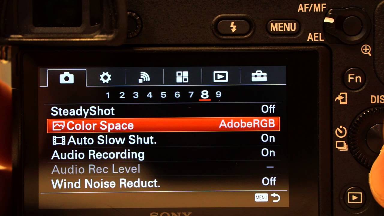 Sony A6300 Custom Settings for Shooting Sports