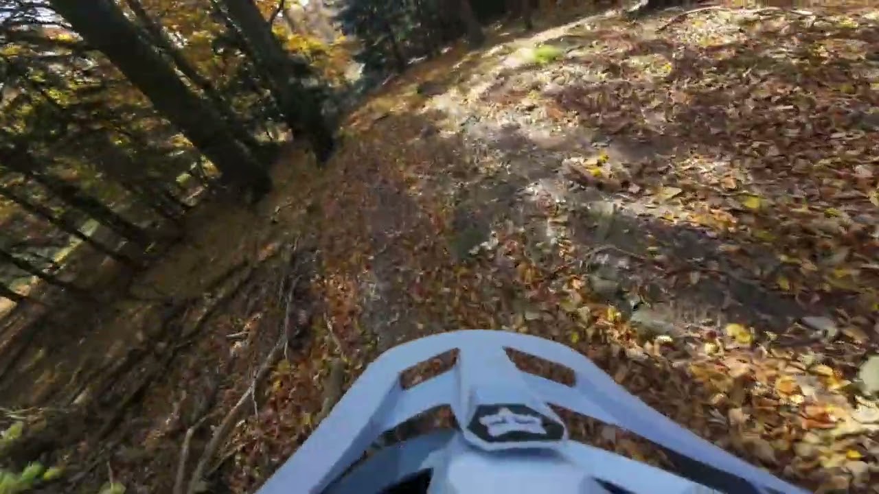 Považsk&yacute; Inovec, Paluch, Vtaci vrstek zjazd
