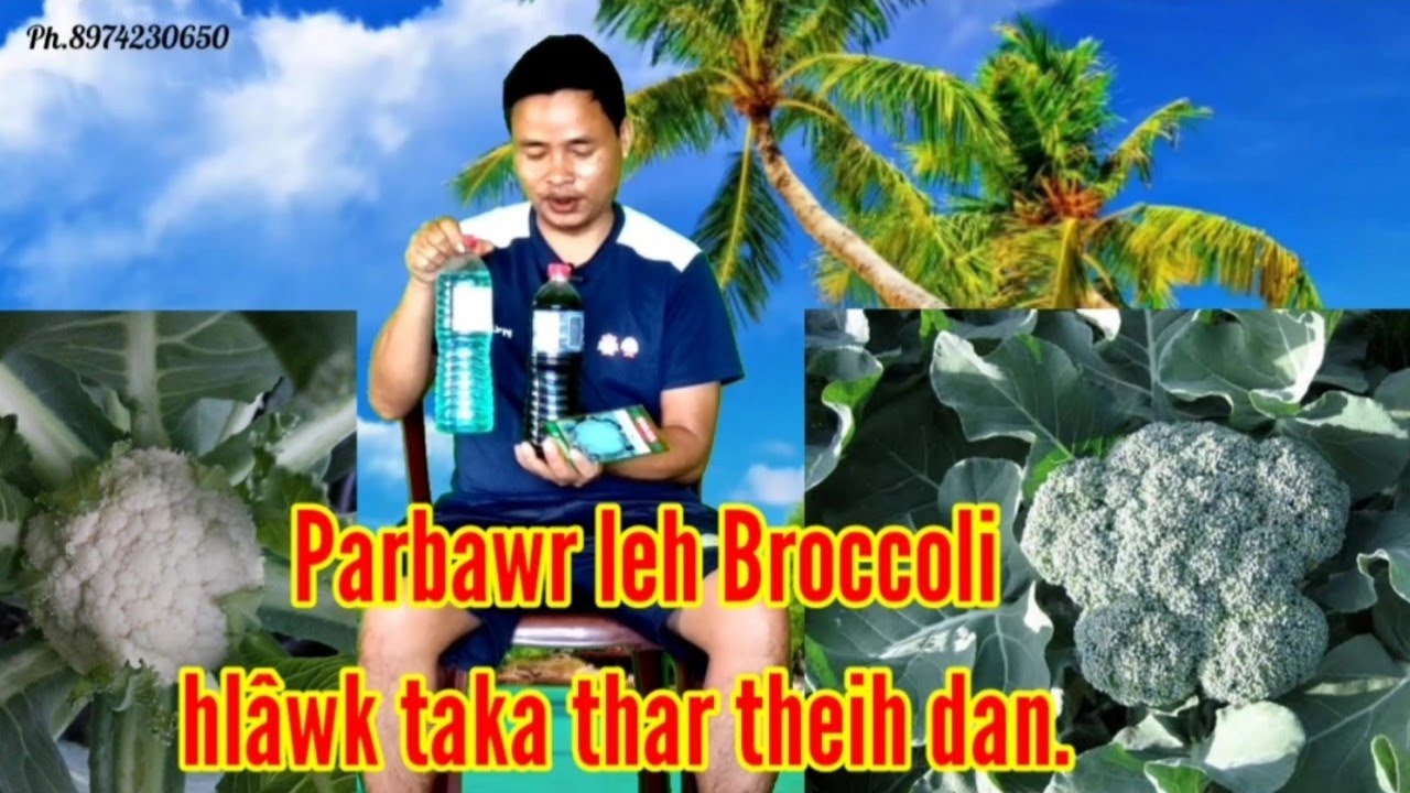 Broccoli leh Parbawr hlawk zawka chin dan.