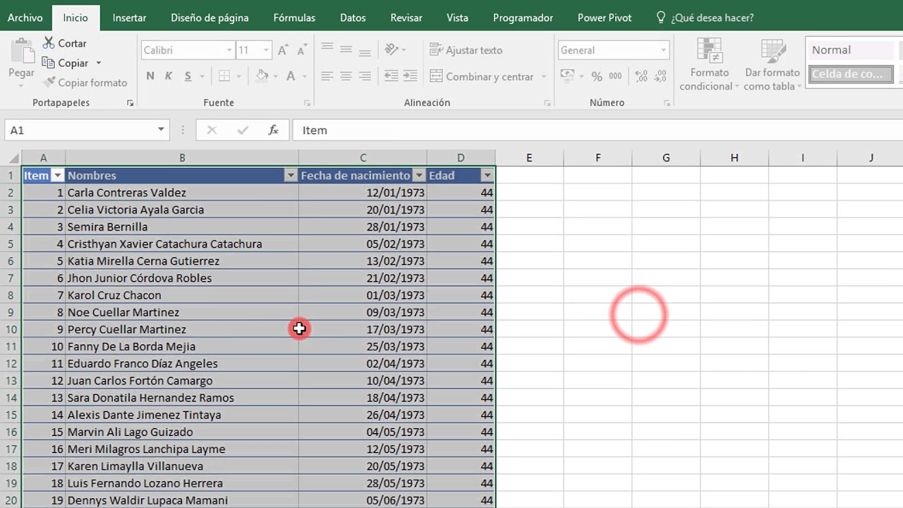 Gestion de Cumpleaños con Excel
