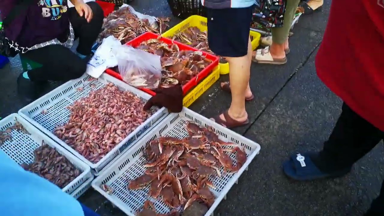 2022年10月5日澎湖魚市場