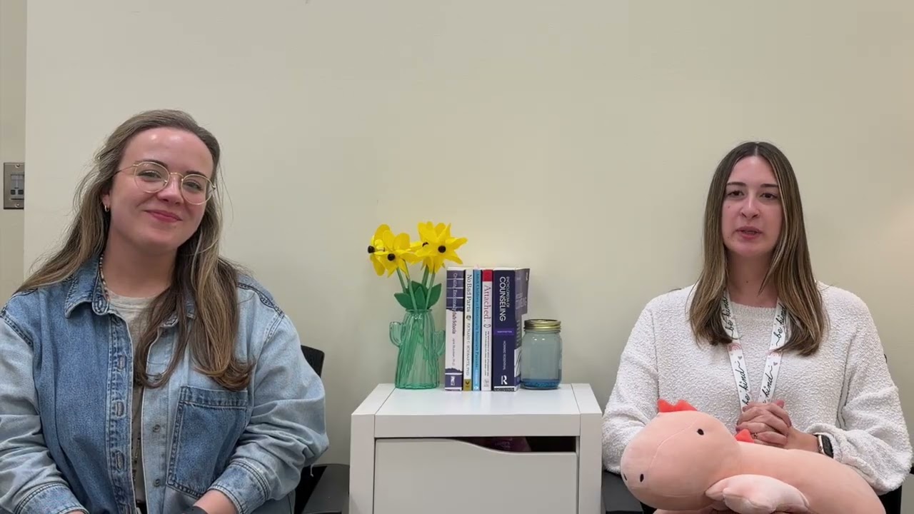Dating Violence Counseling Lesson