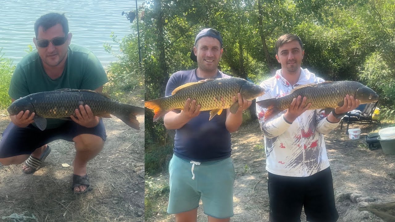 Crapi mofturoși de Dunăre! Timp fumos petrecut pe malul apei!