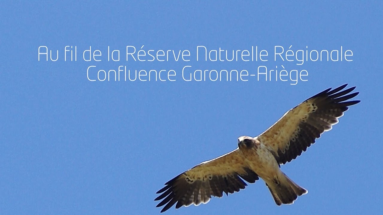 Au fil de la Réserve Naturelle Régionale Confluence Garonne-Ariège