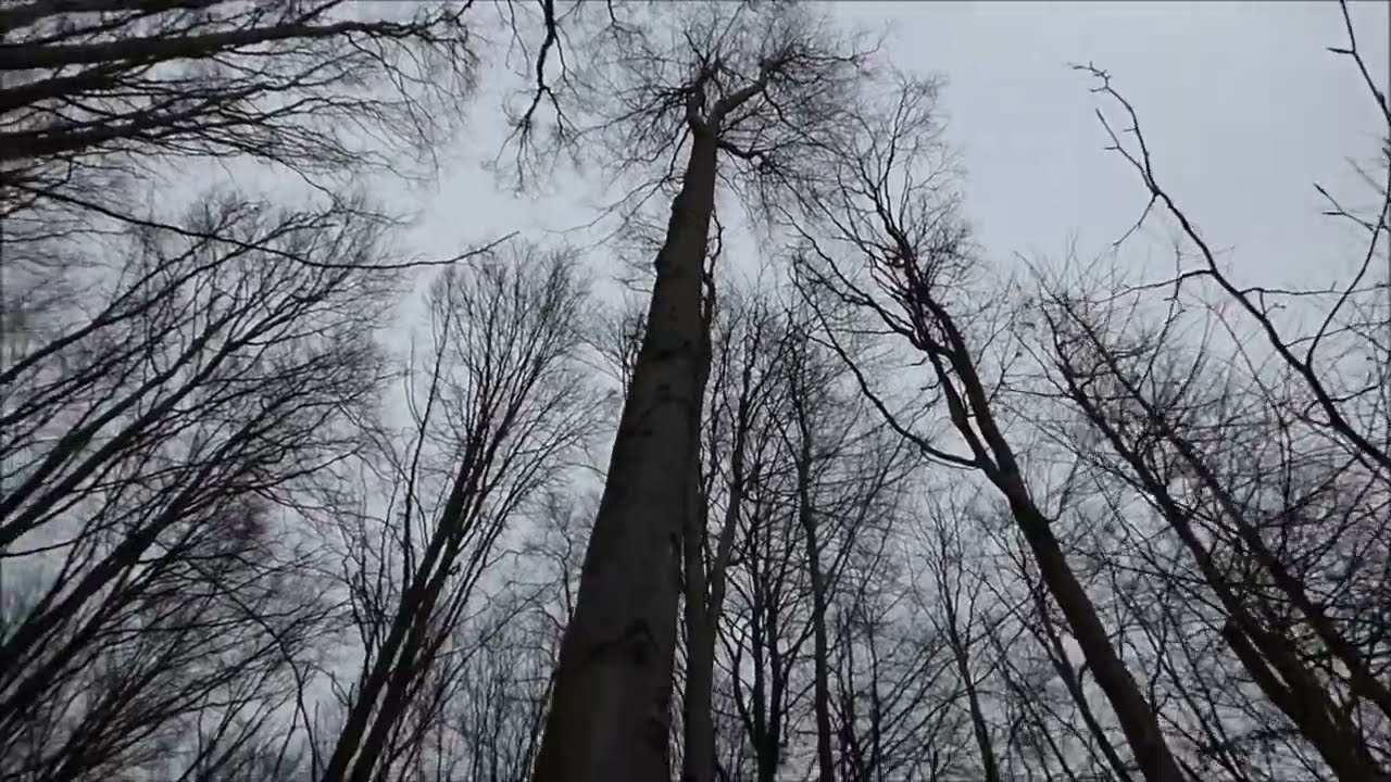 MASKOVÁNÍ FOTOPASTI
